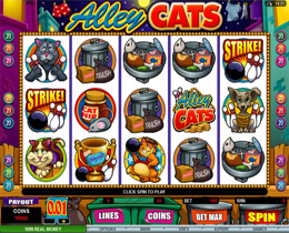 Alley Cats Slot Screenshot